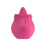 Erodit Tong Vibrator